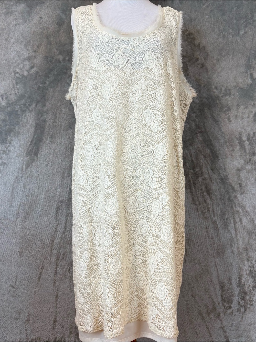 Daisy Fuentes Lace Sleeveless Shift Dress Wmn’s 2X